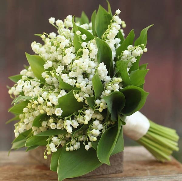 Bó hoa linh lan trắng đẹp nhất thế giới