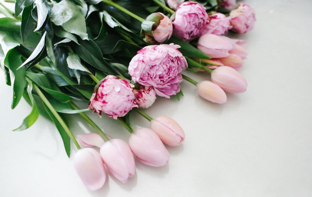 Hoa mẫu đơn kết hợp với hoa tulip