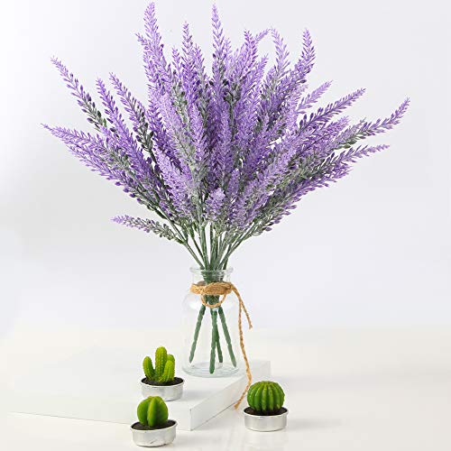 Hoa oải hương - Lavender