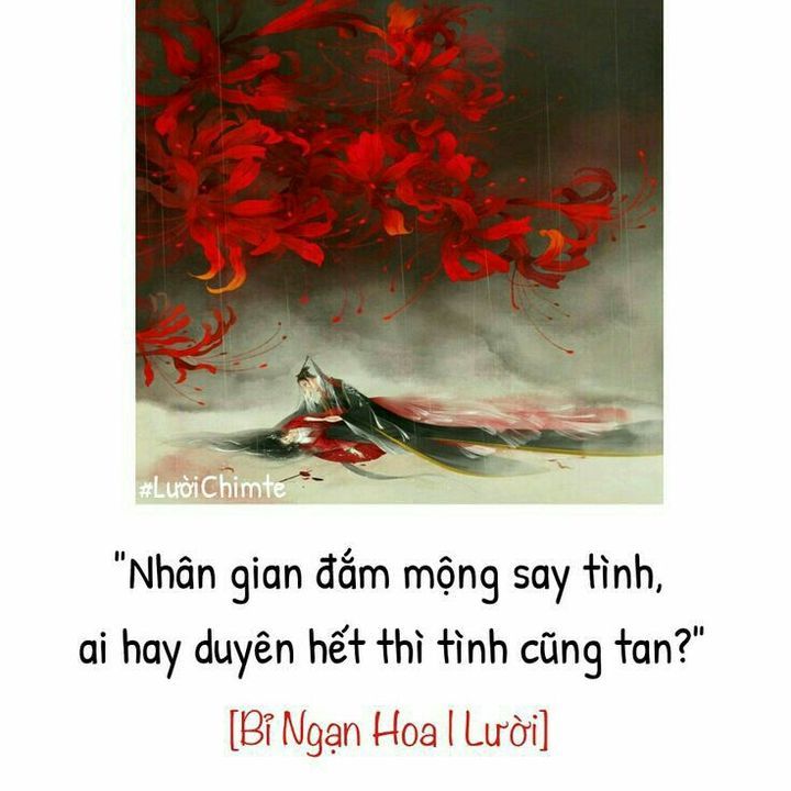 Đọc Truyện Ảnh liên quan tới Hoa bỉ ngạn - 1 - Trang 3 - Thất công tử - Wattpad - Wattpad