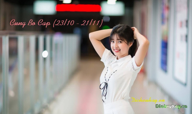 tu vi cung bo cap nam 2019, cung bọ cạp 2019 nữ, năm 2019 của thiên yết, bò cạp 2019, tình yêu 2019 của bọ cạp, cung bọ cạp nữ, tổng quan năm 2020 của 12 cung hoàng đạo, cung bò cạp nam