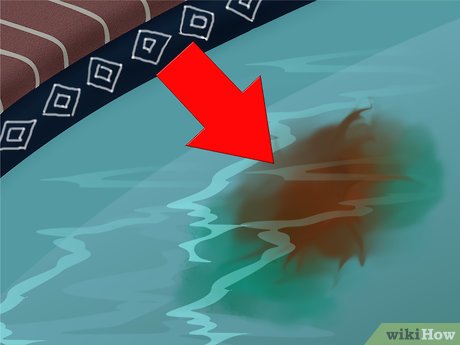 Tiêu đề ảnh Diagnose and Remove Any Swimming Pool Stain Step 3