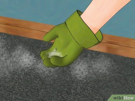Tiêu đề ảnh Get Rid of Fleas in Carpets Step 7