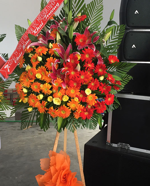 Đặt Lẵng Hoa Khai Trương Thanh Xuân