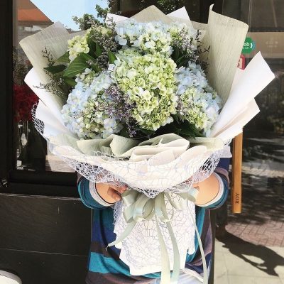 Ý Nghĩa Cẩm Tú Cầu - Khám Phá Sâu Về Loài Hoa Đầy Tâm Tư