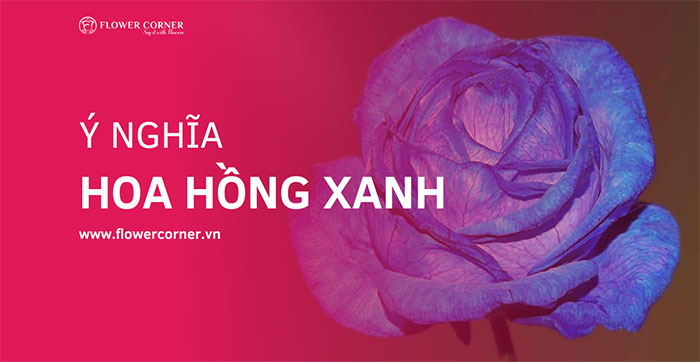 Y Nghĩa Hoa Hồng Xanh - Khám Phá Những Điều Thú Vị Về Loài Hoa Quyền Lực