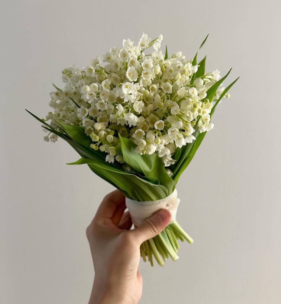 Ý nghĩa hoa linh lan - Khám Phá Vẻ Đẹp và Biểu Tượng