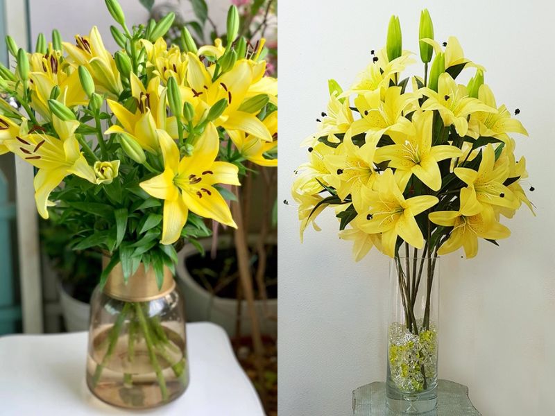 Y Nghĩa Hoa Ly - Mối Liên Hệ Đặc Biệt Giữa Con Người và Thiên Nhiên
