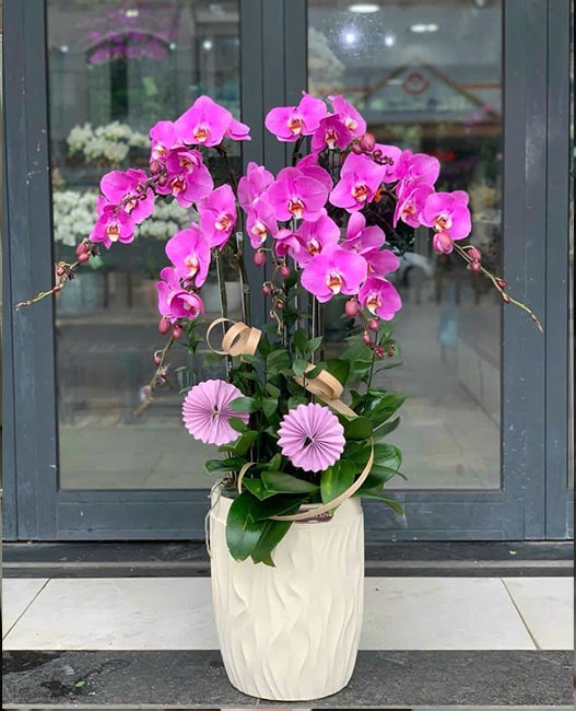 Shop Hoa Tươi Vĩnh Bảo