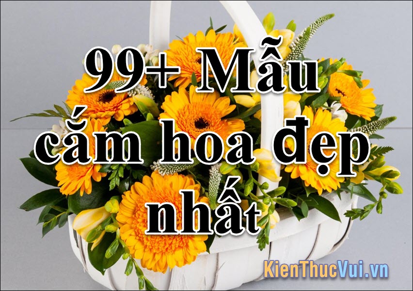Các mẫu hoa cắm đẹp - Tạo điểm nhấn cho không gian sống của bạn